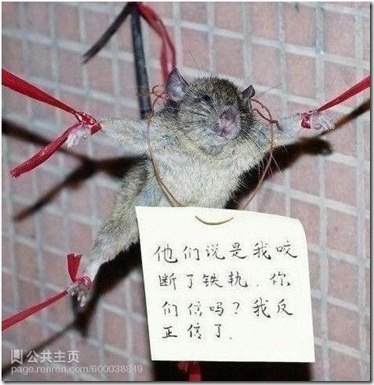 R}UW3W{KNCI~(L8XY1MNWB9